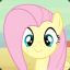 *-* Fluttershy *-*