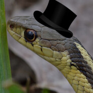 Pessimistic Snake avatar