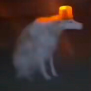 Mang