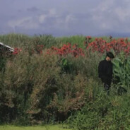 楠月不爱吃早饭