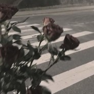 梦未醒     意难平