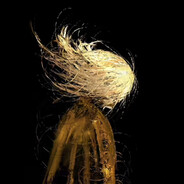 天涯踏尽破红尘