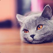 chokowa avatar