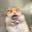 Pesti