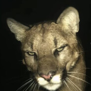 pif avatar
