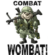 CombatWombat