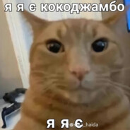 xapvest