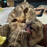 son - steam id 76561198350385648