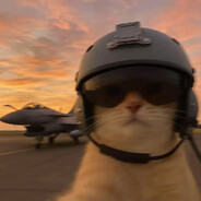 开始调查学历了