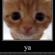 Маленькость