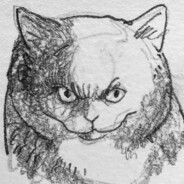 maiya Steam avatar