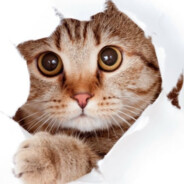 User_BB avatar