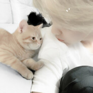 张爱玲也不懂你