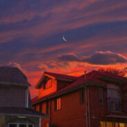 下包，下包，下包！