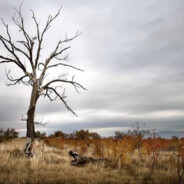 ζั͡ޓއއއ๓🐳