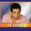 Le Tigre