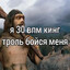 Интернет-тролль