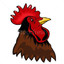 Rooster