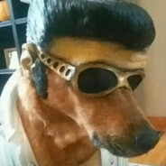 枪马嘴硬耳朵聋