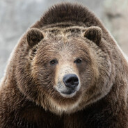 haHAHA - steam id 76561199008167868