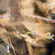 ℭ︎levie🦇Wø︎nder🎸 - steam id 76561198067920114