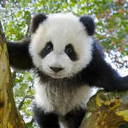 留恋你给的温柔