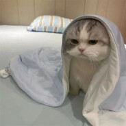 下次看海约在哪