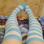 agrov1t