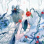 花不落