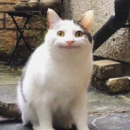 队友拉架我玩手机