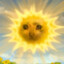 sunshine