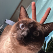 时代少年团-宋亚轩