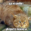 Базару Джексон