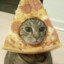 PizzaCatSpaceCat