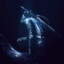 Artorias