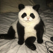 top dawg - steam id 76561199033745056