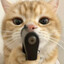 Abdul :i