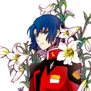 凛家的无限剑制