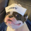 BobSchamez