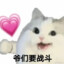 邪恶乳白超雄折耳根