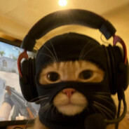 Rest - steam id 76561198034051094