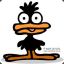 BlackDuck