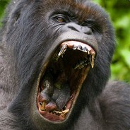 Enraged Primate