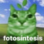 fotosintesis