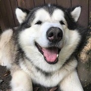 回头呐喊嘎嘎嘎