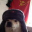 Comrade Dog