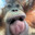 Tosteusz857 Steam avatar