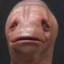 Worm