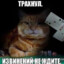 ПИХАЛЫЧ52