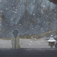 灰色羽毛的飞行日记